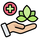 Safe & Holistic Icon