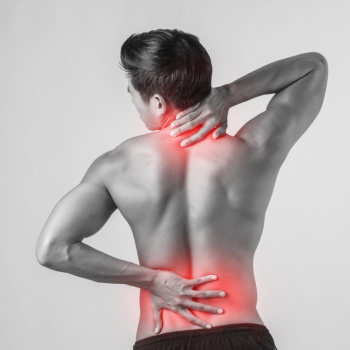 Natural Ayurvedic herbs