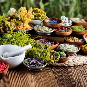 Natural Ayurvedic herbs